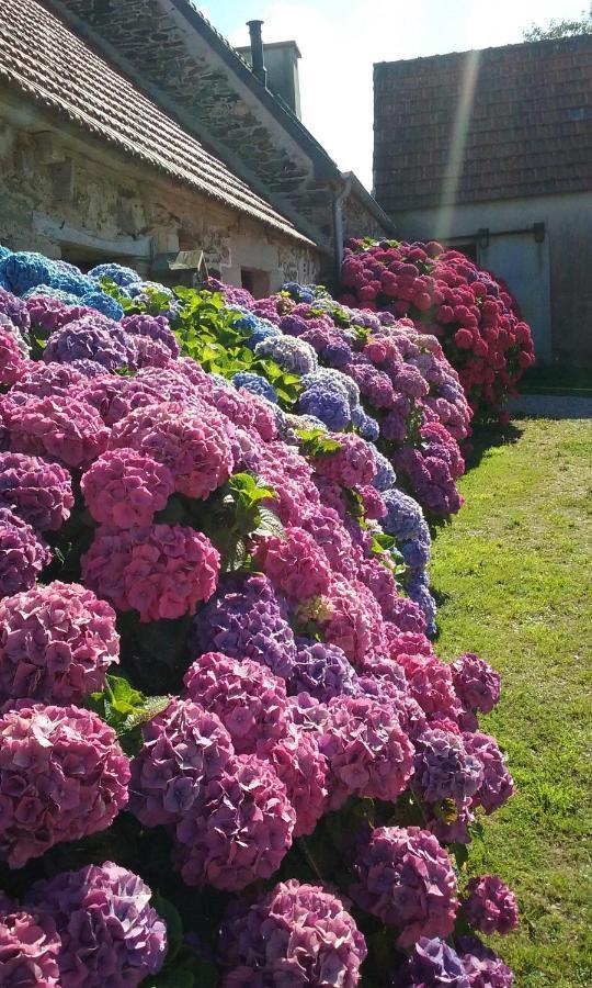 La Ferme De Lec'H Hameury Bed and Breakfast Plestin-les-Grèves Εξωτερικό φωτογραφία